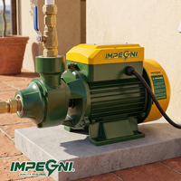 Pompe centrifuge électrique auto-amorçante QB80 750W 1HP pour eau claire, idéale pour l'irrigation domestique et de jardin (OEM)