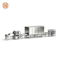 TUORONG Nouvelle Machine Automatique Modulaire Multifonctionnelle à Haute Capacité pour le Remplissage Central et le Dépose de Chocolat, Machine à Fabriquer le Chocolat