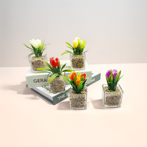 Venta al por mayor en vivo Mini planta suculenta maceta de estilo rural de cerámica esmaltada con maceta de <span class=keywords><strong>madera</strong></span> y vidrio de alta garantía decoración del hogar - Product Image 2