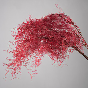 Ramo de flores preservadas de aspargosa artificial Greenway, color rojo, para decoración del hogar y diseño de interiores - Product Image 3