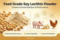 Lécithine de soja du Henan avec acides aminés de qualité alimentaire