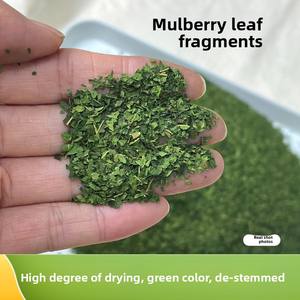 Sacchetto 500g essiccato senza OGM con pezzetti spezzati di foglie di gelso organico per confezioni da tè a base di erbe e benessere - Product Image 4