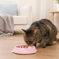 Yommy Bol de Nourrissage Lent en Plastique Solide Arrondi pour Chiens et Chats, Diamètre 22cm, Léger, Durable, Antidérapant, avec Sillons Surélevés