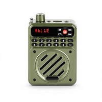 Amplificateur vocal portable Y819 pour 5 voix avec écran numérique LED, radio FM, lecteur MP3, USB, TF, AUX pour l'enseignement et les guides touristiques