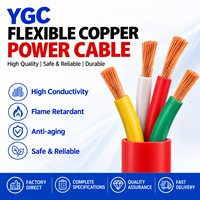 Mehradriges YGC 2*2,5mm Silikonkautschuk-Isoliertes Kabel 60 bis 180 Grad Flexibles Hochtemperatur-Stromkabel