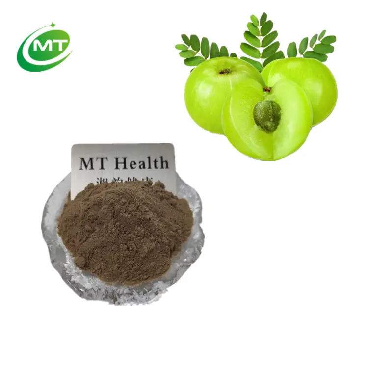 Best Quality Amla fruit powder Organic Phyllanthus emblica powder Amla powder