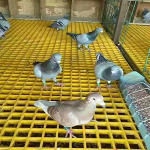 Kisi Frp 38x38 kualitas tinggi untuk melindungi pohon kisi lantai serat kaca untuk Pigeon Lofts - Product Image 1