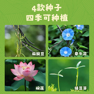 Kit scientifique pour enfants Toyman Little Botanist, expérience de culture DIY, exploration de la nature, jouet pour les enfants de 5 à 7 ans - Product Image 5