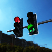 Luz de Señalización de Tráfico LED Roja y Verde de 12 Pulgadas (300 mm) para Automóviles