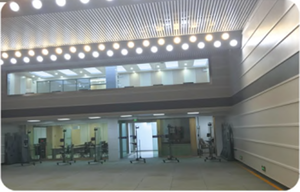 Compassarmor rắn màu cao su sàn mat cao cấp cách âm chống cháy Laminate cao su sàn underlayment EPDM và SBR cao su - Product Image 4