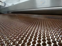 Machine de moulage de chocolat Déposant automatique de chocolat Machine de fabrication de pièces de monnaie de chocolat à vendre