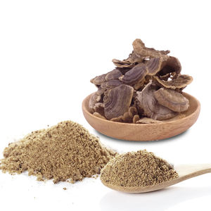 トルコテールキノコエキスCoriolus Versicolor薬用キノコ - Product Image 3