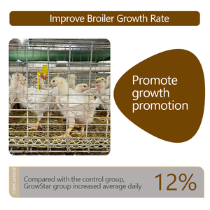 Growstar Mengandung Ekstrak Herbal Mikroekskapsulasi, Ekstrak Ragi, Probiotik untuk Meningkatkan Pertumbuhan Unggas Broiler dan Produksi Telur Petelur - Product Image 5