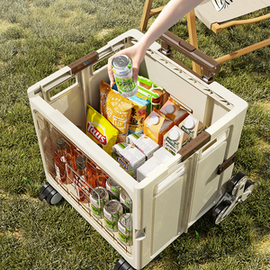 <span class=keywords><strong>Carrito</strong></span> de compras <span class=keywords><strong>plegable</strong></span> pequeño y moderno de gran capacidad, <span class=keywords><strong>carrito</strong></span> de compras de PP tirado a mano para el hogar, picnics al aire libre, Camping - Product Image 3