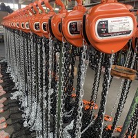 Polipasto Manual de Cadena de 1 Tonelada, Elevación de 5m, Limitador de Sobrecarga para Trabajos en Plantas de Cemento
