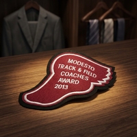 Patch brodé personnalisé avec motif d'aile pour vestes