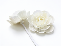 Diffuseur de parfum à fleurs en bois de sola avec coton, diamètre 6 cm et 8 cm, recharge d'huile essentielle, fleurs artisanales en bois de sola