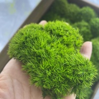 Coussin en mousse stabilisée écologique, boule de mousse naturelle verte préservée pour décoration murale artistique DIY et table de Pâques