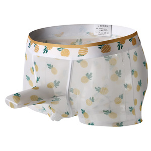 Boxers pour hommes, sous-vêtements en maille transparente à imprimé floral, ultra fins, respirants, transparents - Product Image 3
