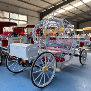 Boda de cuento de hadas en blanco y negro con la novia entrando en una soñadora carruaje de calabaza con temática de <span class=keywords><strong>Cenicienta</strong></span>, <span class=keywords><strong>completa</strong></span> con luces. - Product Image 3