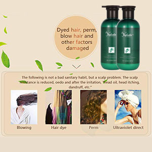 Afro OEM logotipo personalizado <span class=keywords><strong>Champoo</strong></span> al por mayor Etiqueta Privada producto libre de sulfato orgánico cuidado del cabello aceite de argán champú - Product Image 4