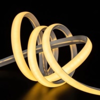 Tube néon LED en silicone en forme de V 22x14mm avec télécommande pour bandes lumineuses de 5mm Décoration d'angle pour étagère/armoire/plafond