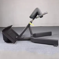 Banc de musculation commercial pliable à 45 degrés pour extensions dorsales, chaise romaine réglable, banc de presse, banc d'hyperextension et banc de redressements assis