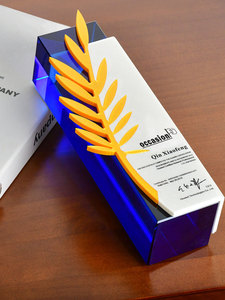 Trophée gravé en cristal personnalisé respectueux de l'environnement certificat créatif de haute qualité Champion compétition anniversaire 2025 nouvel an - Product Image 3