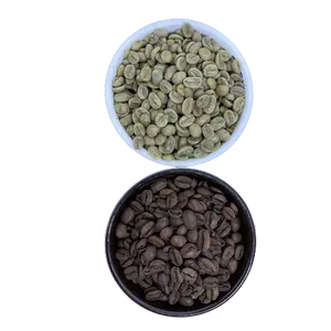 Robusta Hạt Cà Phê Rang Hạt Cà Phê Robusta Bán Rửa Theo Yêu Cầu MOQ Nhỏ S16 Xuất Xứ Đơn Hàng Việt Nam Chất Lượng Xuất Khẩu - Product Image 1