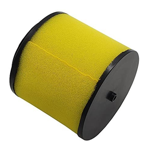 Filtro de Aire ELEMENT para <span class=keywords><strong>Honda</strong></span> TRX400 420 <span class=keywords><strong>500</strong></span> 17254-HN1-000, Piezas y Accesorios para ATV/UTV <span class=keywords><strong>4x4</strong></span> - Product Image 5