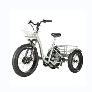 חם למכירה 20 אינץ 3 גלגל אופניים חשמליים סגסוגת אלומיניום אופניים חשמליים עם שלושה גלגל LCd תצוגת אופניים אלקטרוניים למבוגרים