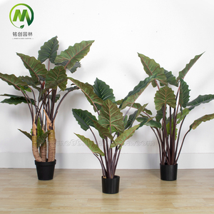 Plantas Verdes de Simulación, Bonsái Artificial, Plantas en Maceta, Árbol de Taro Arcoíris para Decoración de Hogar, Oficina, Centro Comercial y Tienda - Product Image 3