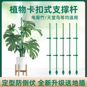 Piquets de Soutien pour Plantes Autonomes, Revêtement Plastique, Anti-Basculement, Accessoires de Jardinage - Product Image 5