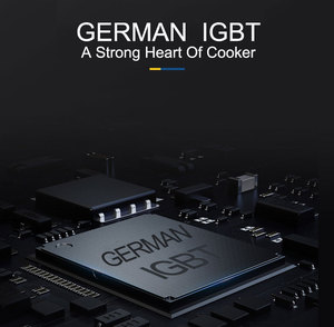 Giá Bếp Cảm Ứng Điện Thương Mại Nặng 6000W - Product Image 5