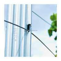 Nouveau Type de vente en gros, plantes de vigne galvanisées à chaud, vignes, raisin, piquet en métal, vignes, treillis, poteau