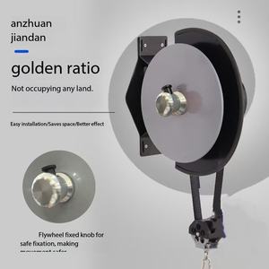 Hete Aanbieding IJzeren Centrifuge Trainer Vliegwiel Wandmontage Machine Variabele Weerstand Excentrische Vliegwiel Apparatuur 130kg Unisex - Product Image 3