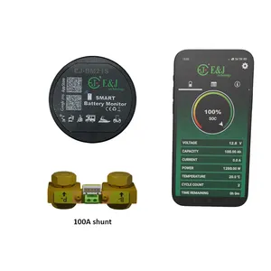 BM21S Lithium Ion Batteries Indicator 12v 100ah Lifepo4 Battery Monitor Bluetooth 50 Battery Scooter Smart Shunt With Bluetooth