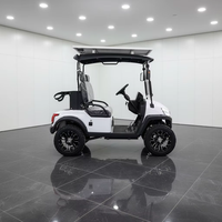 Voiture de golf électrique professionnelle 48V à deux places, alimentée au lithium, en promotion, buggy de golf tout-terrain, 30-50 km/h, 70-90 km d'autonomie
