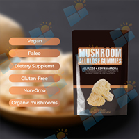 SUNI OEM ODM Marque Privée 10 en 1 Complexe d'Extraits de Champignons Crinière de Lion et Reishi en Gummies, Complément pour Hommes et Femmes, pour la Concentration
