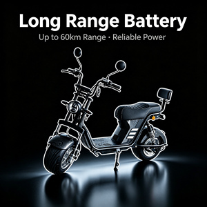 สกู๊ตเตอร์สำหรับผู้ใหญ่ 60V 20.8Ah มอเตอร์ 2000W ยางแบบระบบกันสะเทือนคู่ จากผู้ผลิต - Product Image 3