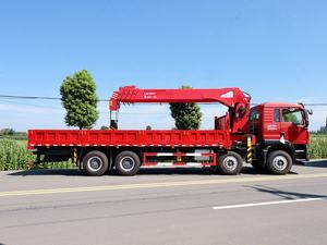 Kualitas tinggi HOWO 30 <span class=keywords><strong>Ton</strong></span> truk derek dengan Zoomlion silinder dan pompa <span class=keywords><strong>Tadano</strong></span> 25m angkat tinggi untuk Konstruksi Industri - Product Image 4