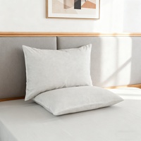 Taie d'oreiller de mise à la terre en tissu conducteur d'argent à 15 %, lavable et personnalisable, disponible en OEM, vente en gros pour la literie domestique