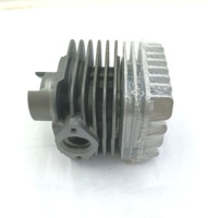 Kit Cylindre Culasse de Course Gros Alésage 40mm 50cc pour Moteurs Moto Gilera Italjet Typhoon Xr 50cc 2T Piaggio