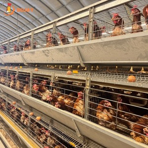 Gallinero Industrial Automático Económico para Gallinas Ponedoras de Uso Doméstico - Product Image 1
