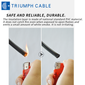 Кабель электрический одножильный медный с изоляцией ПВХ, соответствующий ROHS, BV2.5мм², 4мм², 6мм², 10мм², 25мм², 750В, неизолированный медный провод - Product Image 6