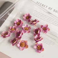 Silberne Glockenblumen DIY Ohrringe Armband Material Echte Getrocknete Blumen Rose Epoxidharz Handgefertigt Super Märchenhafter Waldstil Accessoires
