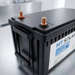 แบตเตอรี่ LiFePO4 12V 12.8V 200Ah 2.5kWh พร้อมบลูทูธ BMS  ตัวเรือนพลาสติก  ทดแทนแบตเตอรี่ตะกั่วกรด สำหรับเก็บพลังงานภายในบ้าน - Product Image 2