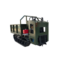 Chargement élevé certifié CE Mini Dumper Truck Prix 500kg