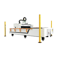 Machine de découpe laser à fibre avec rideau lumineux de sécurité et couvercle de protection de type portique 1500W 3000W