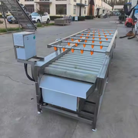 Multifunctionele automatische groente- en sojabonen-fruitwasmachine met motor, voedselveilig roestvrij staal, nieuw